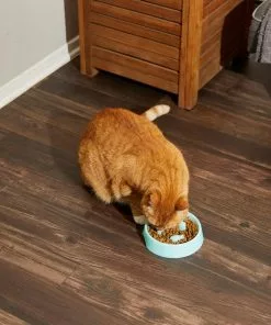 Frisco Fish Shaped Ridges Slow Feed Bowl, Light Blue, 1.25 cups -Pet Food Gear Shop 216046 PT7. SY630 V1605658037