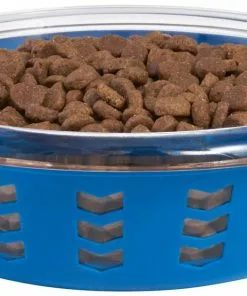 Frisco Chevron Design Glass Bowl with Silicone Sleeve, 4.25 Cups -Pet Food Gear Shop 216049 PT2. SY630 V1591020725