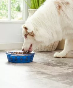 Frisco Chevron Design Glass Bowl with Silicone Sleeve, 4.25 Cups -Pet Food Gear Shop 216049 PT7. SY630 V1605664319