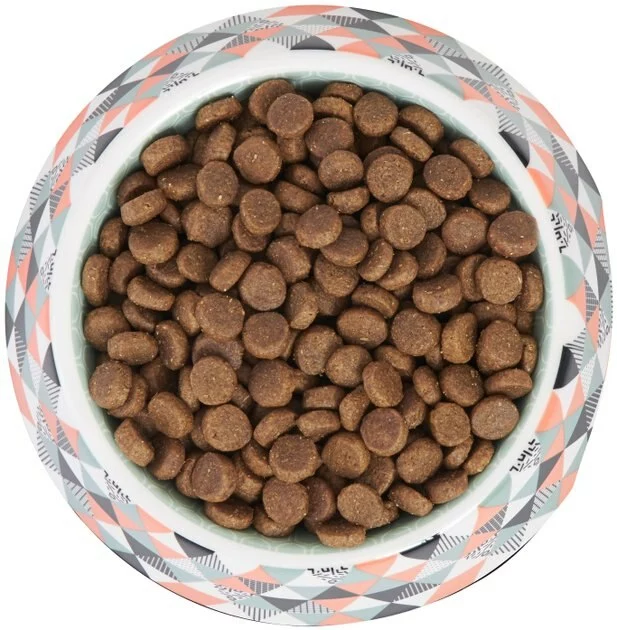 Frisco Colorful Geometric Melamine Bowl 7 Frisco Colorful Geometric Melamine Bowl - Image 5