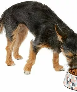 Frisco Colorful Geometric Melamine Bowl 14 Frisco Colorful Geometric Melamine Bowl -Pet Food Gear Shop 216052 PT6. SY630 V1605657120