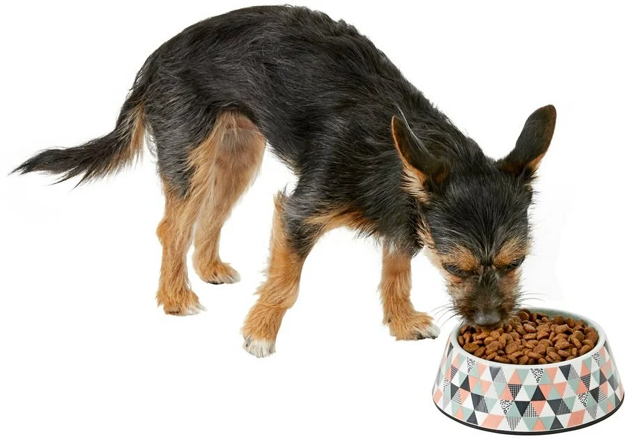 Frisco Colorful Geometric Melamine Bowl 8 Frisco Colorful Geometric Melamine Bowl - Image 6