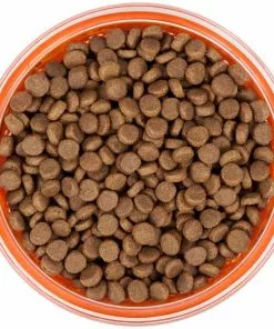 Frisco Paw Design Glass Bowl with Silicone Sleeve, 3 Cups 13 Frisco Paw Design Glass Bowl with Silicone Sleeve, 3 Cups -Pet Food Gear Shop 216055 PT4. SY630 V1591020767