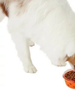 Frisco Paw Design Glass Bowl with Silicone Sleeve, 3 Cups 14 Frisco Paw Design Glass Bowl with Silicone Sleeve, 3 Cups -Pet Food Gear Shop 216055 PT6. SY630 V1605655922