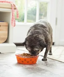 Frisco Paw Design Glass Bowl with Silicone Sleeve, 3 Cups 15 Frisco Paw Design Glass Bowl with Silicone Sleeve, 3 Cups -Pet Food Gear Shop 216055 PT7. SY630 V1605660423