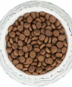 Frisco Chevron Brushed Melamine Bowl -Pet Food Gear Shop 216059 PT4. SY630 V1591020962