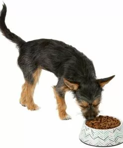 Frisco Chevron Brushed Melamine Bowl -Pet Food Gear Shop 216059 PT6. SY630 V1605665808