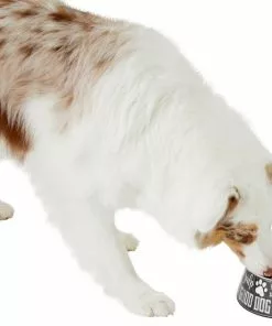 Frisco Doggie Melamine Bowl, 3 Cup -Pet Food Gear Shop 216062 PT6. SY630 V1605663429