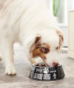 Frisco Doggie Melamine Bowl, 3 Cup -Pet Food Gear Shop 216062 PT7. SY630 V1605658314