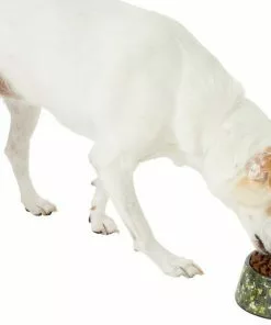 Frisco Camo Paint Splashed Melamine Bowl, 3 Cup 14 Frisco Camo Paint Splashed Melamine Bowl, 3 Cup -Pet Food Gear Shop 216066 PT6. SY630 V1605666935