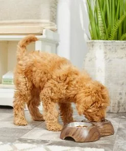 Frisco Double Stainless Steel Bowl, Wood Design, 0.75 Cup 15 Frisco Double Stainless Steel Bowl, Wood Design, 0.75 Cup -Pet Food Gear Shop 216068 PT7. SY630 V1605666481