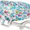 Frisco Spring Floral Polyester Dog Leash