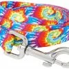 Frisco Tie Dye Swirl Polyester Dog Leash -Pet Food Gear Shop 218246 MAIN. SY630 V1590604895