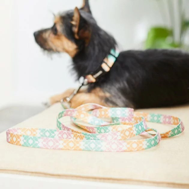 Frisco Pastel Tie Dye Polyester Dog Leash 6 Frisco Pastel Tie Dye Polyester Dog Leash - Image 4
