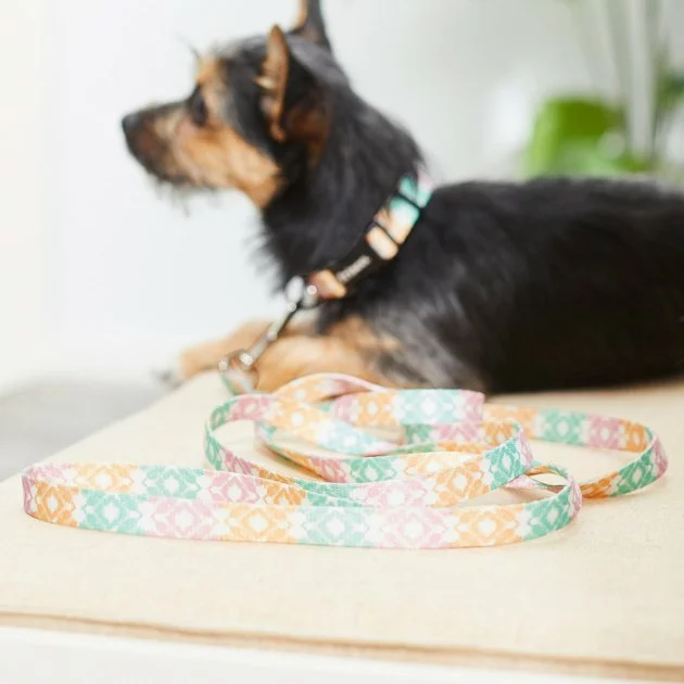 Frisco Pastel Tie Dye Polyester Dog Leash 7 Frisco Pastel Tie Dye Polyester Dog Leash - Image 5