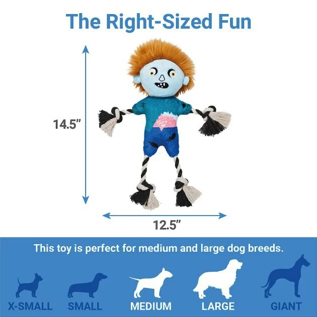 Frisco Zombie Boy Plush with Rope Squeaky Dog Toy 4 Frisco Zombie Boy Plush with Rope Squeaky Dog Toy - Image 2