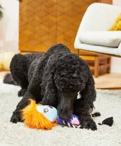 Frisco Zombie Girl Plush with Rope Squeaky Dog Toy 7 Frisco Zombie Girl Plush with Rope Squeaky Dog Toy -Pet Food Gear Shop 218571 PT6. SY630 V1597599373