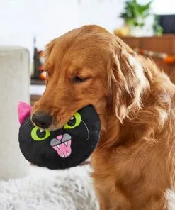 Frisco Black Cat Round Plush Squeaky Dog Toy -Pet Food Gear Shop 218587 PT6. SY630 V1597599384