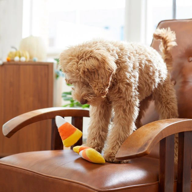 Frisco Halloween Candy Corn Plush Squeaky Dog Toy, 3 count 5 Frisco Halloween Candy Corn Plush Squeaky Dog Toy, 3 count - Image 3