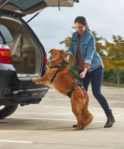 Frisco Front & Rear Lift Handicapped Support Dog Harness -Pet Food Gear Shop 220369 PT7. SY630 V1605754629