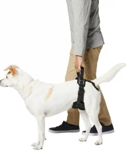 Frisco Rear Lift Handicapped Support Dog Harness -Pet Food Gear Shop 220374 PT5. SY630 V1605743213