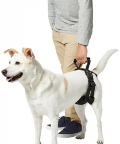 Frisco Rear Lift Handicapped Support Dog Harness -Pet Food Gear Shop 220374 PT6. SY630 V1605755228