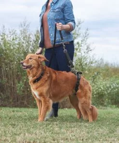 Frisco Rear Lift Handicapped Support Dog Harness -Pet Food Gear Shop 220374 PT7. SY630 V1605754619