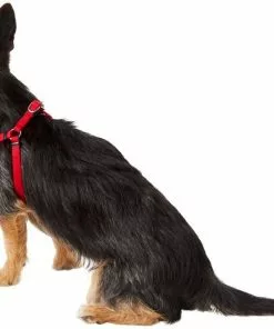 Frisco Nylon Step In Back Clip Dog Harness -Pet Food Gear Shop 220505 PT3. SY630 V1605579490