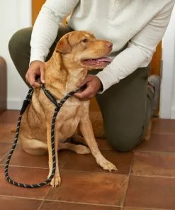 Frisco Reflective Rope Slip Lead Dog Leash -Pet Food Gear Shop 221212 PT4. SY630 V1602862584