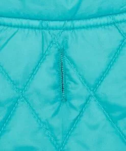 Frisco Packable Lightweight Gradient Insulated Dog & Cat Jacket -Pet Food Gear Shop 223909 PT5. SY630 V1599571263