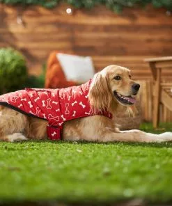 Frisco Patterned Bones Insulated Dog & Cat Coat -Pet Food Gear Shop 223953 PT7. SY630 V1601578878