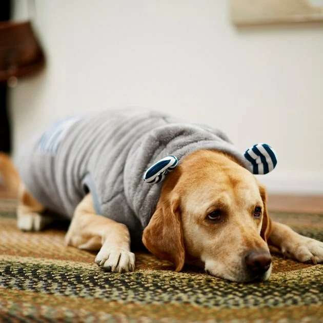 Frisco Plush Hooded Insulated Dog & Cat Coat 9 Frisco Plush Hooded Insulated Dog & Cat Coat - Image 7