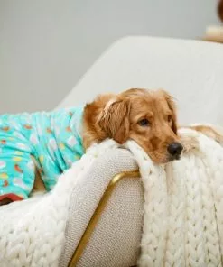 Frisco Sea Creatures Dog & Cat Cozy Fleece PJs -Pet Food Gear Shop 224104 PT7. SY630 V1599565898