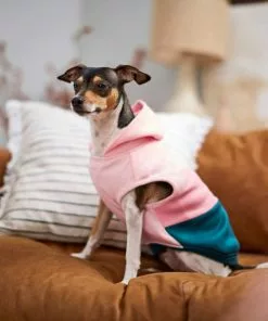 Frisco Colorblock Dog & Cat Sleeveless Hoodie -Pet Food Gear Shop 224258 PT6. SY630 V1637672226