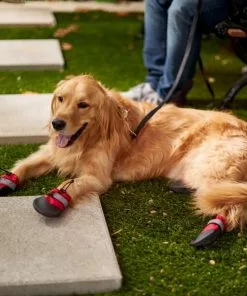 Frisco Anti-Slip Soft-Soled Dog Boots -Pet Food Gear Shop 224360 PT7. SY630 V1601578001