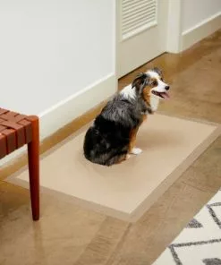 Frisco Giant Eco-Conscious Dog Training & Potty Pads, 27.5 x 44-in, Unscented -Pet Food Gear Shop 227444 PT6. SY630 V1604702010