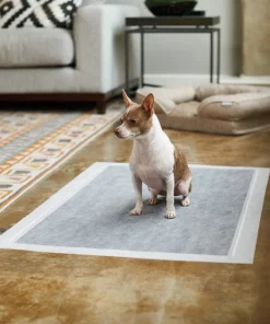 Frisco Giant Charcoal Dog Training & Potty Pads, 27.5 x 44-in, Unscented 11 Frisco Giant Charcoal Dog Training & Potty Pads, 27.5 x 44-in, Unscented -Pet Food Gear Shop 227462 PT6. SY630 V1604701065