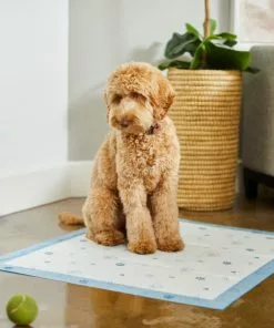 Frisco Extra Large Printed Dog Training & Potty Pads, 28 x 34-in, Unscented -Pet Food Gear Shop 227468 PT6. SY630 V1604701633