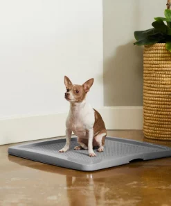 Frisco Training Pad Holder -Pet Food Gear Shop 227474 PT6. SY630 V1604701643