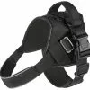 Frisco Big Dog Harness -Pet Food Gear Shop 227874 MAIN. SY630 V1599070555