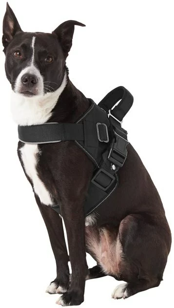 Frisco Big Dog Harness 7 Frisco Big Dog Harness - Image 5