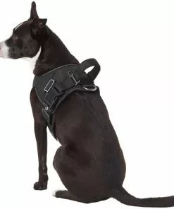 Frisco Big Dog Harness 14 Frisco Big Dog Harness -Pet Food Gear Shop 227874 PT5. SY630 V1603417907