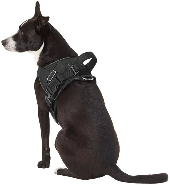 Frisco Big Dog Harness 8 Frisco Big Dog Harness - Image 6