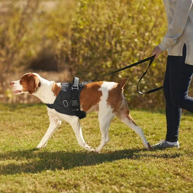 Frisco Big Dog Harness 9 Frisco Big Dog Harness - Image 7