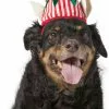 Frisco Holiday Elf Dog & Cat Hat -Pet Food Gear Shop 228841 MAIN. SY630 V1601299302