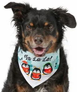 Frisco Fa La La Dog & Cat Bandana -Pet Food Gear Shop 228977 PT2. SY630 V1637670991