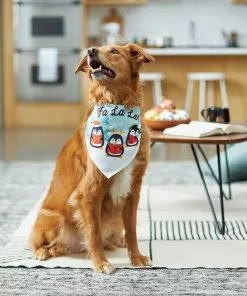 Frisco Fa La La Dog & Cat Bandana -Pet Food Gear Shop 228977 PT4. SY630 V1637727442