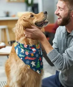 Frisco Holiday & New Years Dog & Cat Bandana, 2 pack -Pet Food Gear Shop 228983 PT6. SY630 V1637659015