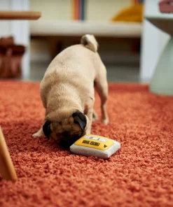 Frisco Retro Cassette Dense Foam Squeaky Dog Toy -Pet Food Gear Shop 230296 PT3. SY630 V1601946962