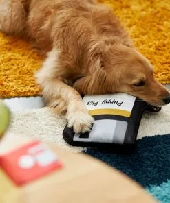 Frisco Retro Floppy Disc Ballistic Nylon Plush Squeaky Dog Toy -Pet Food Gear Shop 230304 PT3. SY630 V1602639753